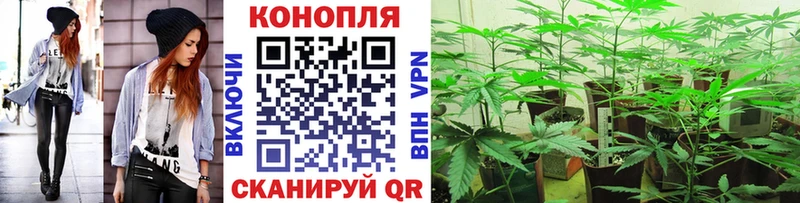 Продажа наркотиков Тамбов A PVP АМФ COCAIN Меф мяу мяу
