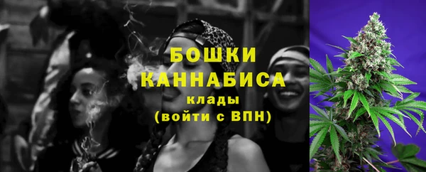 дмт Карпинск
