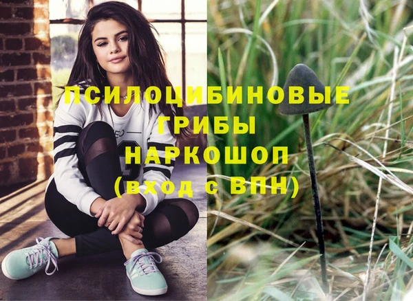 дмт Карпинск