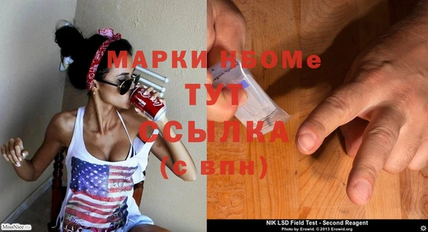 прущие грибы Карталы