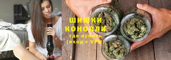 дмт Карпинск