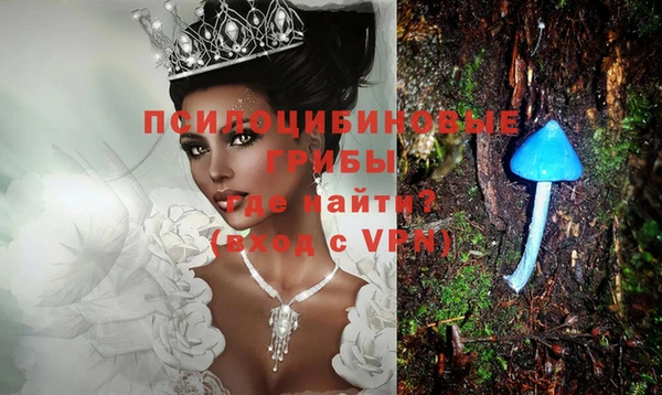 прущие грибы Карталы