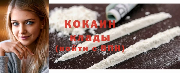 прущие грибы Карталы