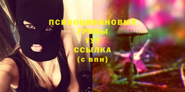 не бодяженный Касимов