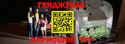 прущие крисы Славгород