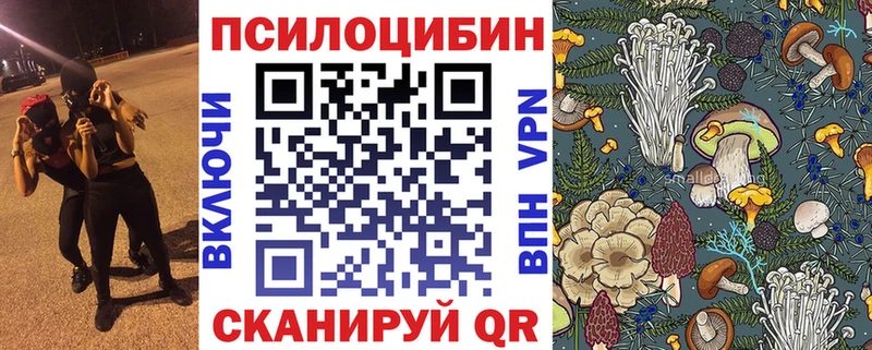ОМГ ОМГ рабочий сайт  Тамбов  Псилоцибиновые грибы мухоморы 