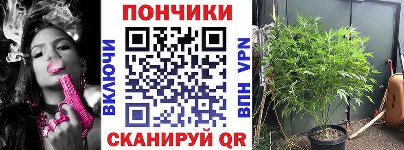 Каннабис тримм  Тамбов 